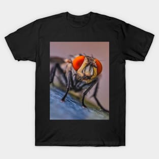 Flesh Fly Macro Insect Photograph T-Shirt